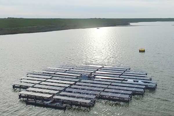 Floating Solar