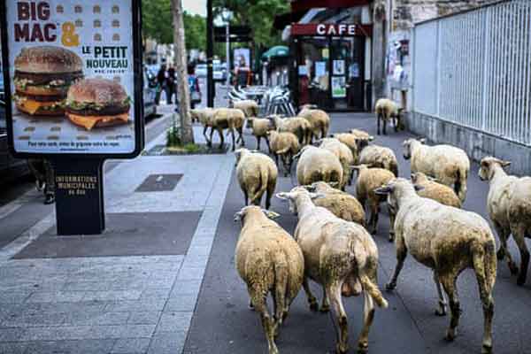 Stephane de Sakutin/AFP/Getty Image