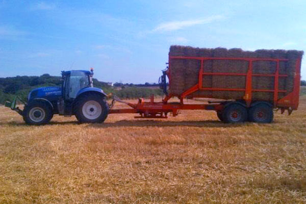 India to have its 1st plant to convert paddy straw into biogas near Delhi to solve the pollution menace