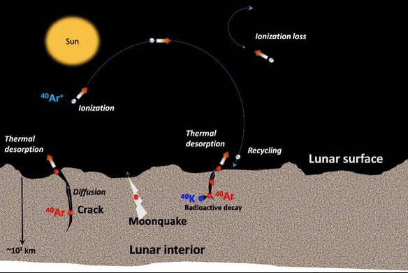 orbiter detects Argon-40 in lunar exosphere from an altitude of 100km orbiter detects Argon-40 in lunar exosphere from an altitude of 100km