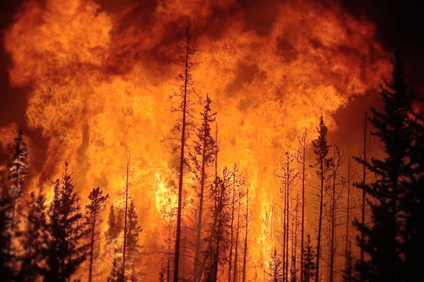 Conditions such as drought due to fire and heat in New South Wales Conditions such as drought due to fire and heat in New South Wales