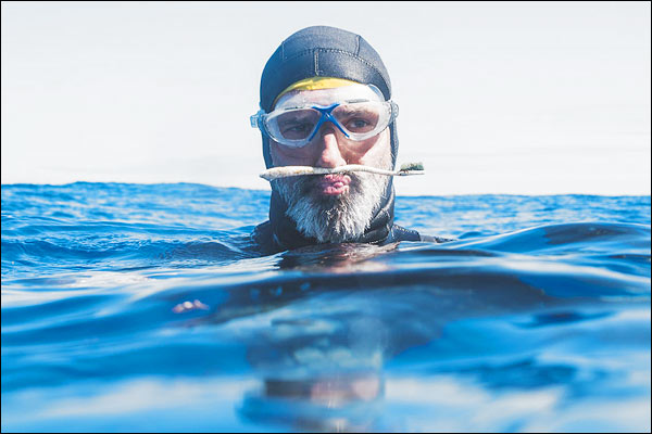 Lakomte swims in the Great Pacific Garbage Patch of the Pacific Ocean Lakomte swims in the Great Pacific Garbage Patch of the Pacific Ocean