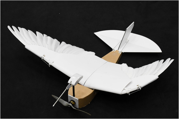 Scientists Built a Robot From 40 Pigeon Feathers and It Flies Beautifully Scientists Built a Robot From 40 Pigeon Feathers and It Flies Beautifully