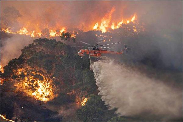Australia will take 100 YEARS to recover from bush fires Australia will take 100 YEARS to recover from bush fires