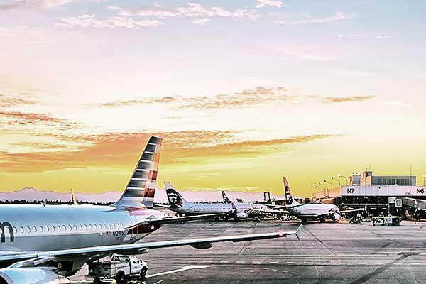 India has the highest number of airplanes in its fleet of domestic flights - report India has the highest number of airplanes in its fleet of domestic flights - report