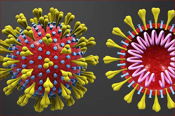 Resultado de imagen de coronavirus