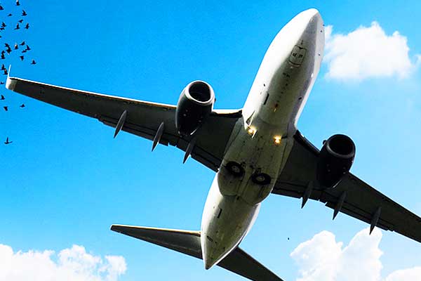 Jamaica bound jetliner returns to Toronto after passenger falsely claims he has coronavirus Jamaica bound jetliner returns to Toronto after passenger falsely claims he has coronavirus