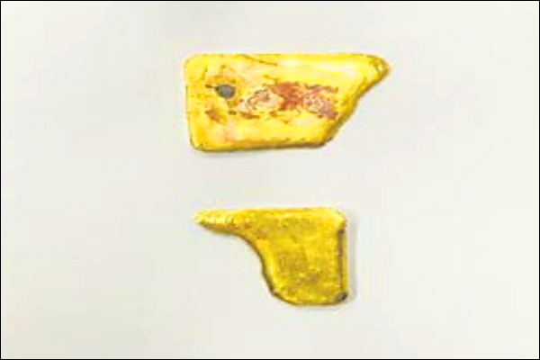 Woman smuggler arrested from Jaipur airport, was hiding gold in private part Woman smuggler arrested from Jaipur airport, was hiding gold in private part