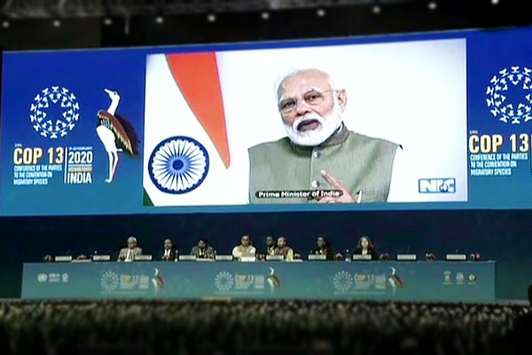 In the Cop-13 Modi said- India is playing the main role in advancing the green economy In the Cop-13 Modi said- India is playing the main role in advancing the green economy