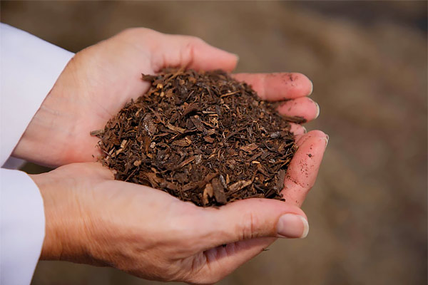 Human compost funerals better for environment Human compost funerals better for environment