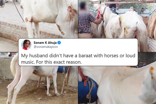 Sonam Kapoor On Why Her Baraat Did Not Have Horses Sonam Kapoor On Why Her Baraat Did Not Have Horses