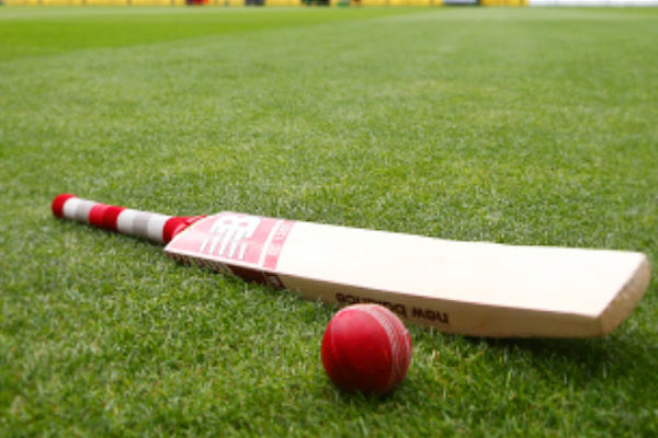 David Warner last man standing as Australia collapse in South Africa T20 defeat David Warner last man standing as Australia collapse in South Africa T20 defeat