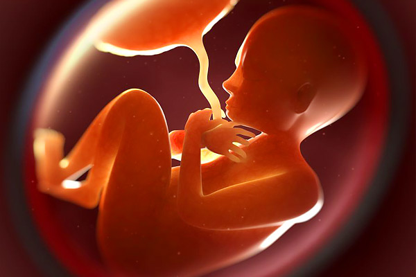 Man gets 3 years rigorous imprisonment for death of cousin unborn child Man gets 3 years rigorous imprisonment for death of cousin unborn child