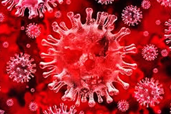 Coronavirus may become epidemic US claims Coronavirus may become epidemic US claims