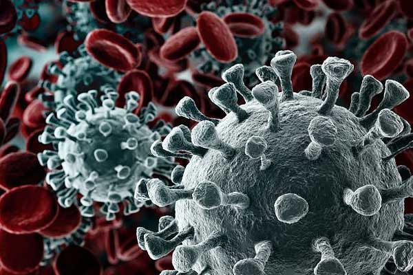 Coronavirus hits 200,000 cases worldwide death toll across world crosses 8000 Coronavirus hits 200,000 cases worldwide death toll across world crosses 8000