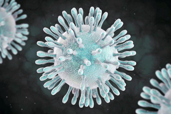So far 13 coronas have been infected in Gujarat, 10 in Punjab, 18 in Karnataka and 23 in Rajasthan So far 13 coronas have been infected in Gujarat, 10 in Punjab, 18 in Karnataka and 23 in Rajasthan