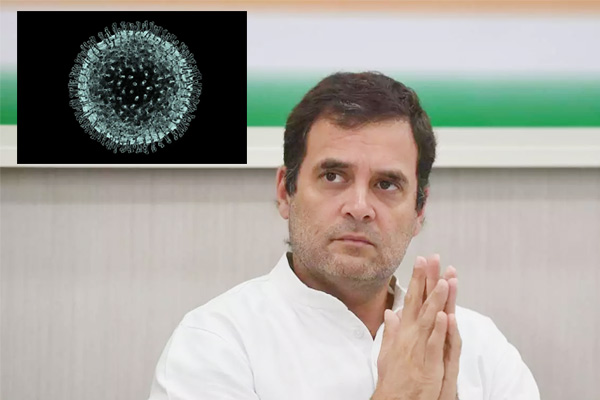 Government relief package is first step in right direction says Rahul Gandhi amid lockdown Government relief package is first step in right direction says Rahul Gandhi amid lockdown