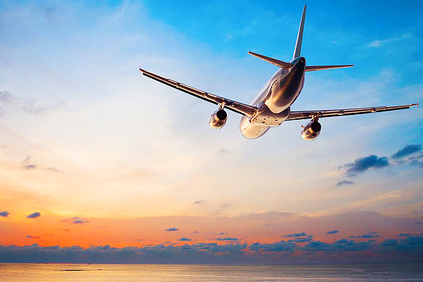 Aviation ministry suspends all domestic non-scheduled flights till April 14 Aviation ministry suspends all domestic non-scheduled flights till April 14