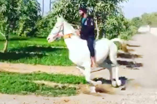 Ravindra Jadeja is setting his hobby when he wants to do nothing between Corona Ravindra Jadeja is setting his hobby when he wants to do nothing between Corona