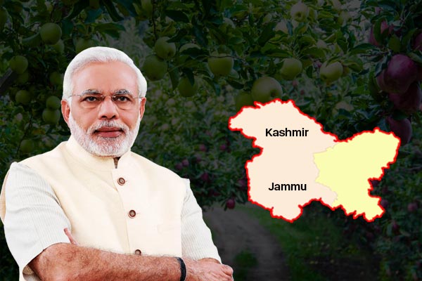 Important decision of Center govt citizens living in Jammu and Kashmir for 15 years will get domicil Important decision of Center govt citizens living in Jammu and Kashmir for 15 years will get domicil