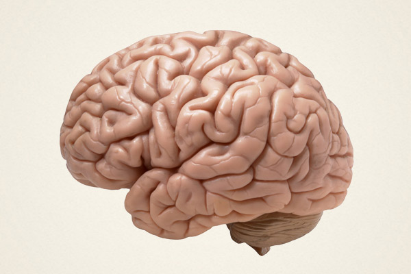 Can coronavirus attack the human brain Know what scientists say Can coronavirus attack the human brain Know what scientists say
