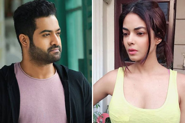 Section 375&rsquos Meera Chopra receives rape & death threats for not being a Jr. NTR fan Section 375&rsquos Meera Chopra receives rape & death threats for not being a Jr. NTR fan