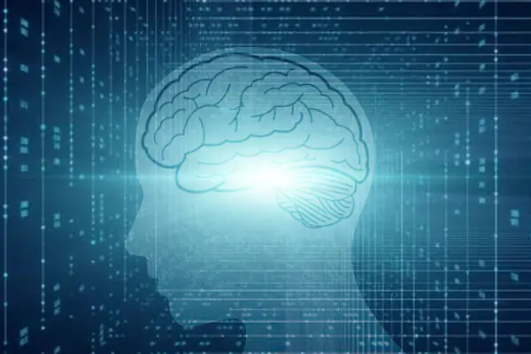 Study says ‘Artificial brains too need sleep’