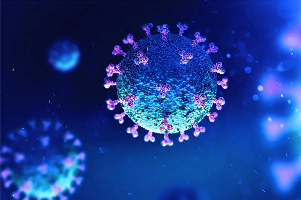 Study says exposure to common cold viruses can train body to identify and fight coronavirus Study says exposure to common cold viruses can train body to identify and fight coronavirus