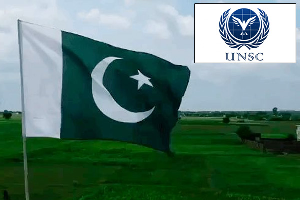 India exposes Pakistan in UNSC says we have faced cross-border terrorism India exposes Pakistan in UNSC says we have faced cross-border terrorism