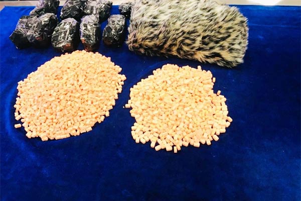 Chennai Air Customs seizes 5210 ecstasy pills MDMA crystals and Meth powder valued at Rs 1.65 crore Chennai Air Customs seizes 5210 ecstasy pills MDMA crystals and Meth powder valued at Rs 1.65 crore