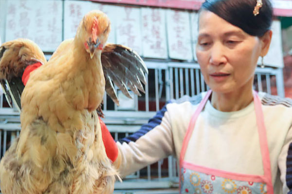 China claims to get corona virus in chicken from Brazil China claims to get corona virus in chicken from Brazil