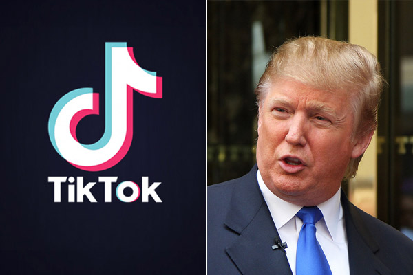 donald trump donald trump