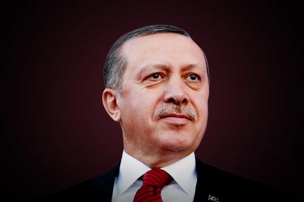India Slammed Turkish President Erdogan India Slammed Turkish President Erdogan